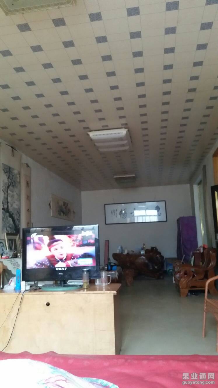 172749t9mycmi94klere4k.jpg