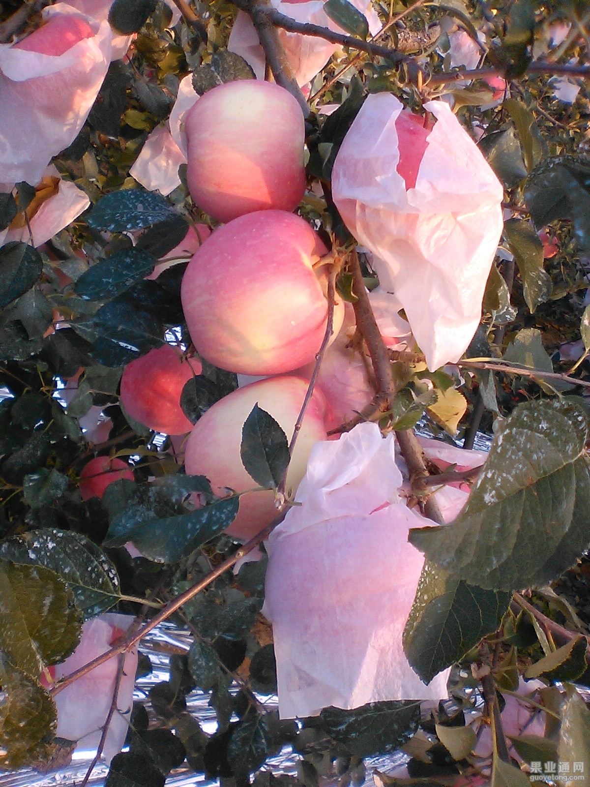 IMG_20151008_163321.jpg