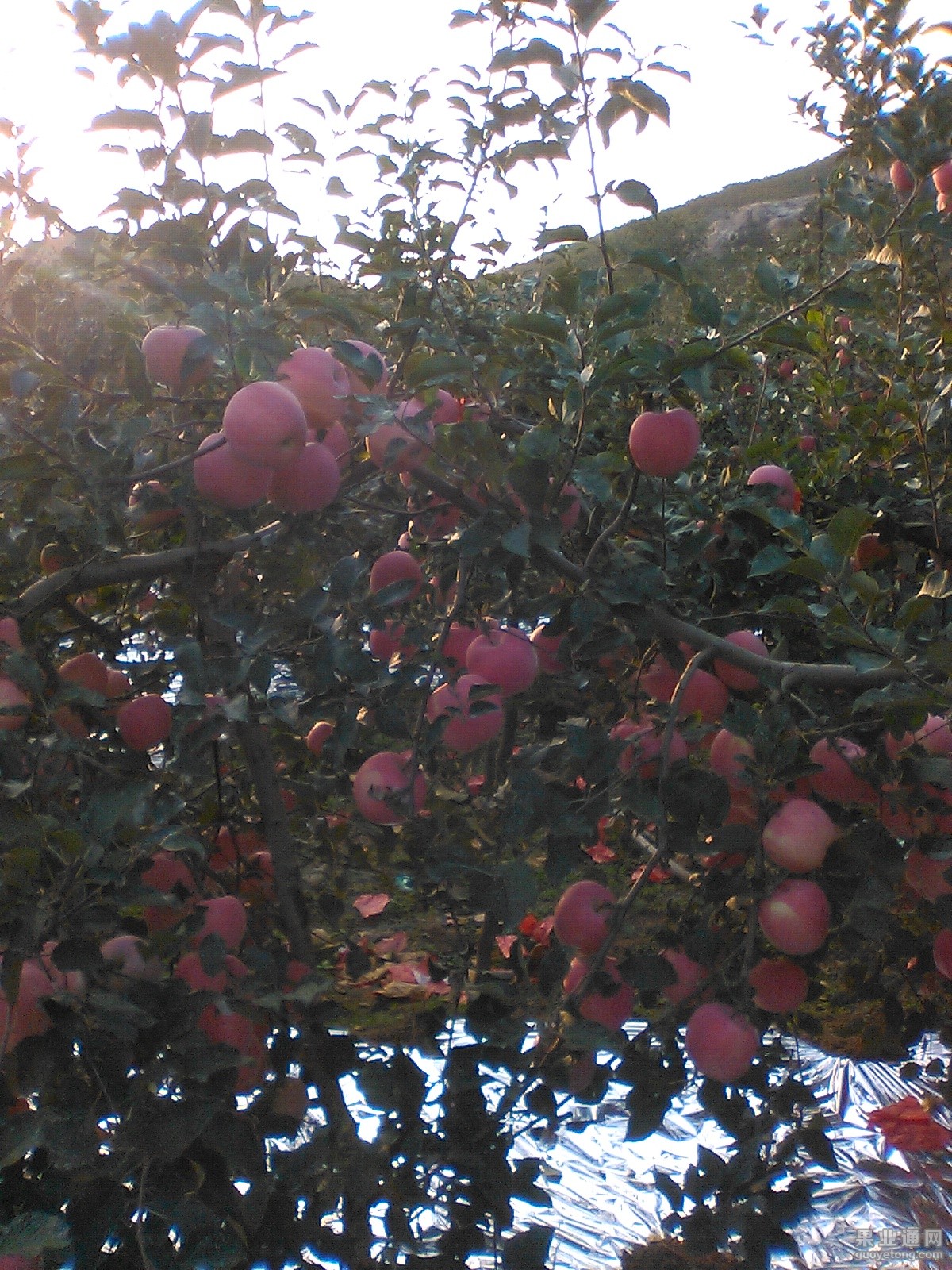 IMG_20151008_162848.jpg