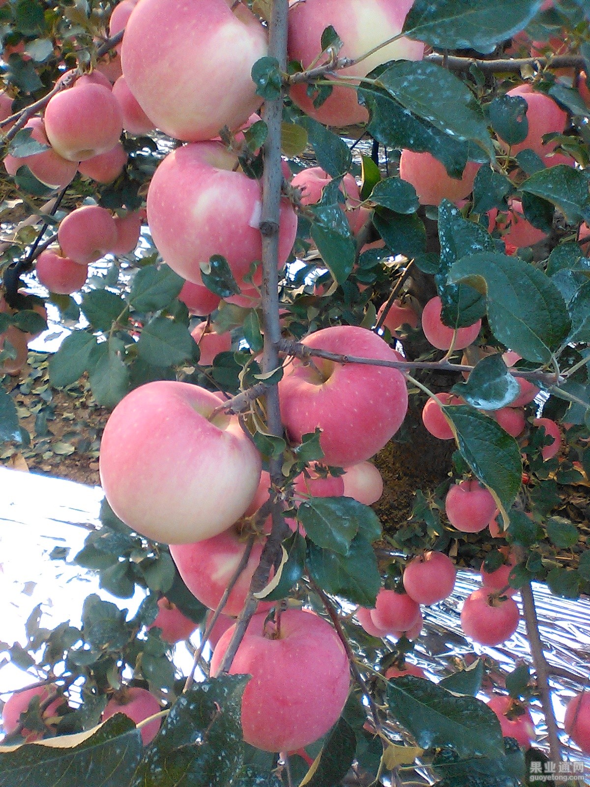 IMG_20151008_160832.jpg