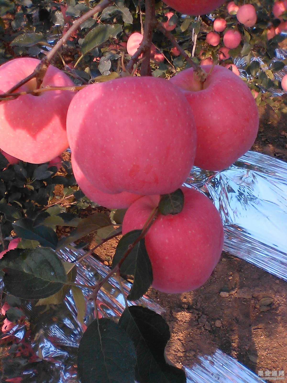 IMG_20151008_155106.jpg