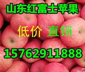 22492c40eef24bf1_副本.gif