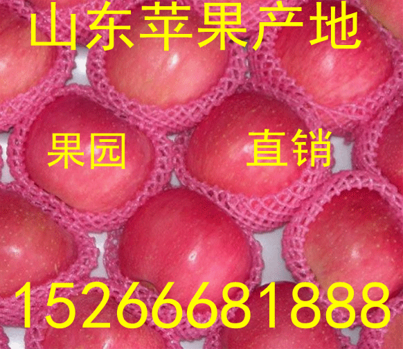 e278b433372dd86070cff1ef102861cf_副本_副本.gif