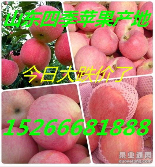 c6515bcf9df248a4a6a6da426d9d8d01_副本.jpg