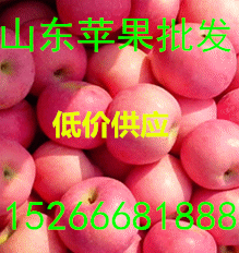 172954548_副本.gif