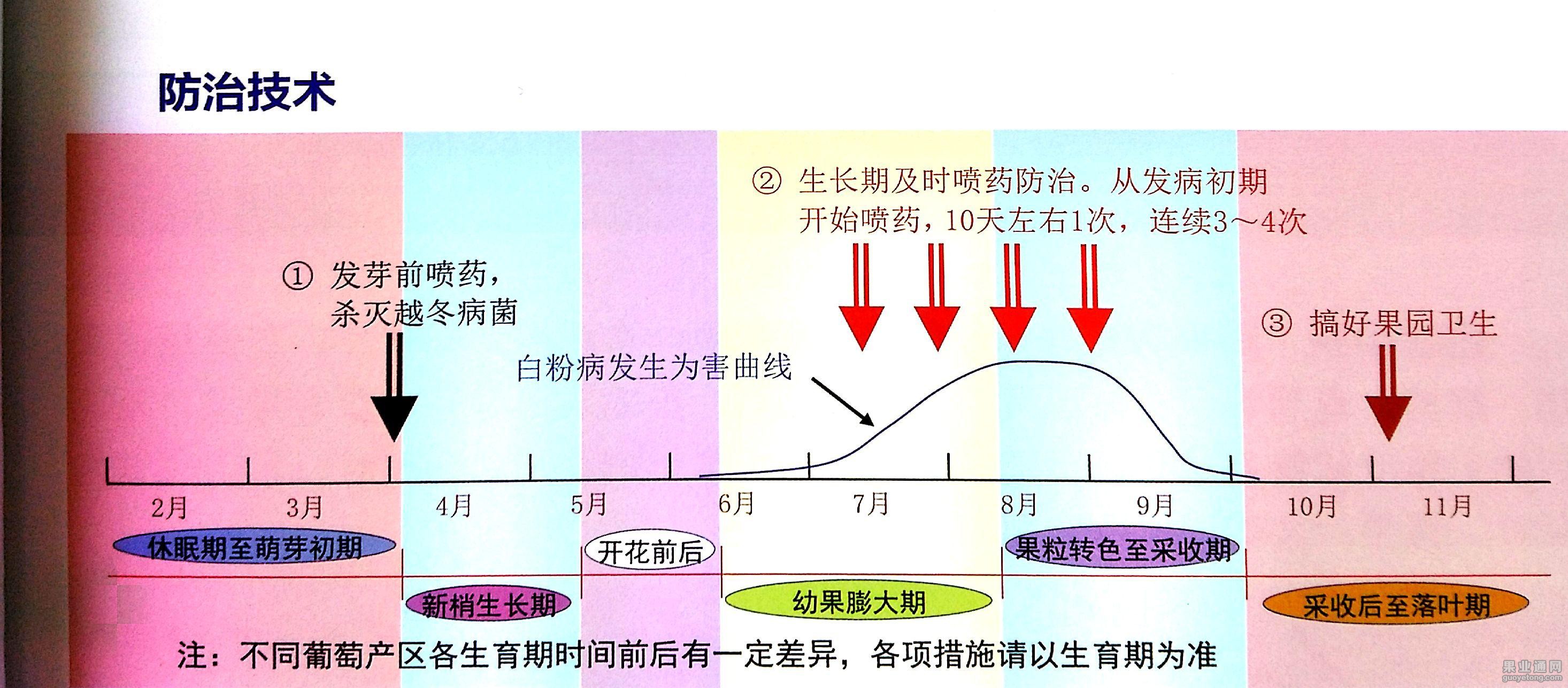 图片11.jpg