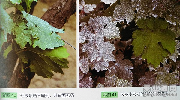 图片17.jpg