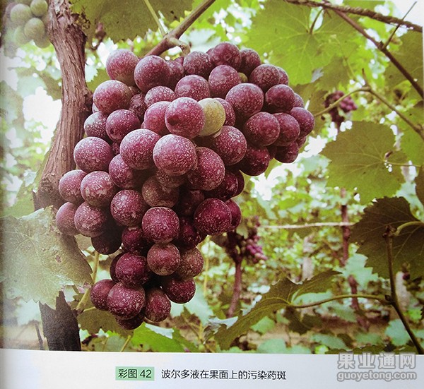 图片18.jpg