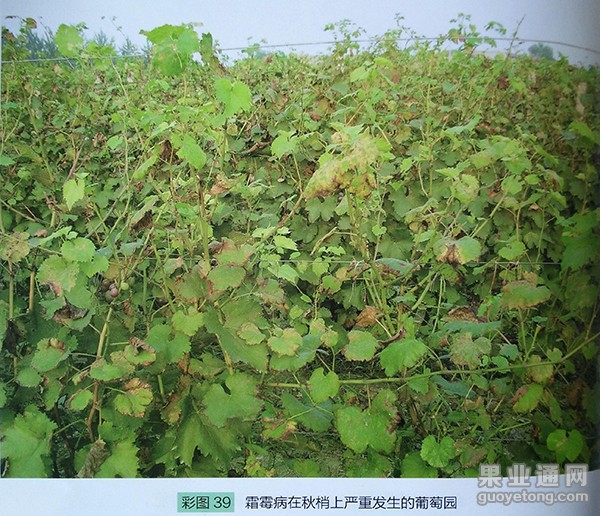 图片15.jpg