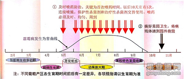 图片16.jpg