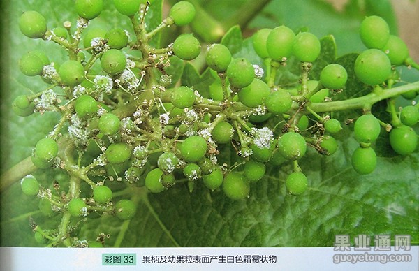 图片10.jpg