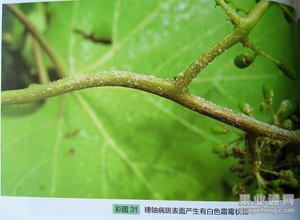 图片8.jpg