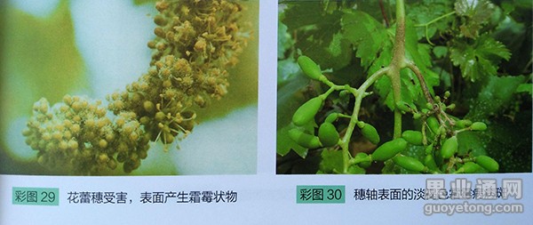 图片7.jpg
