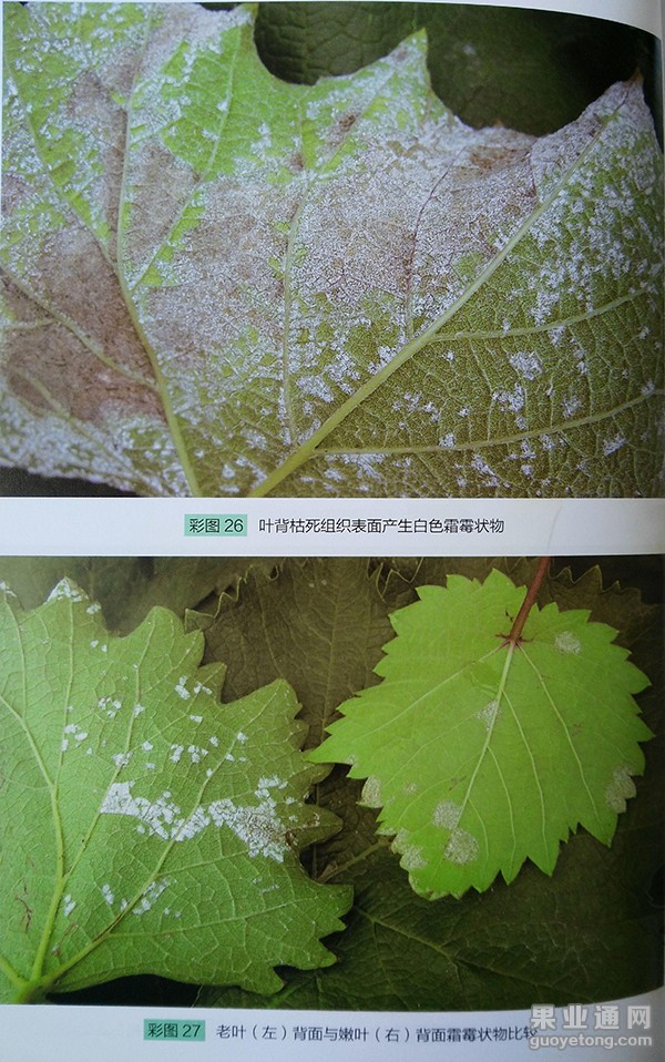图片5.jpg