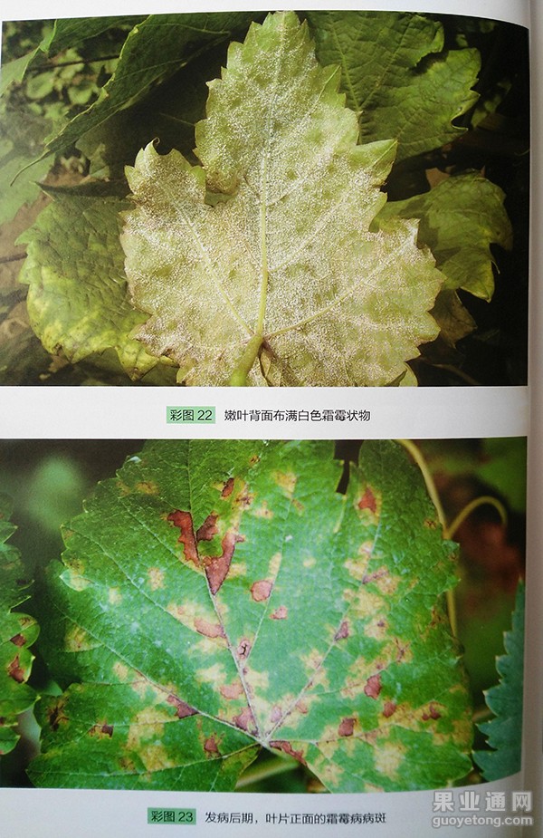 图片3.jpg
