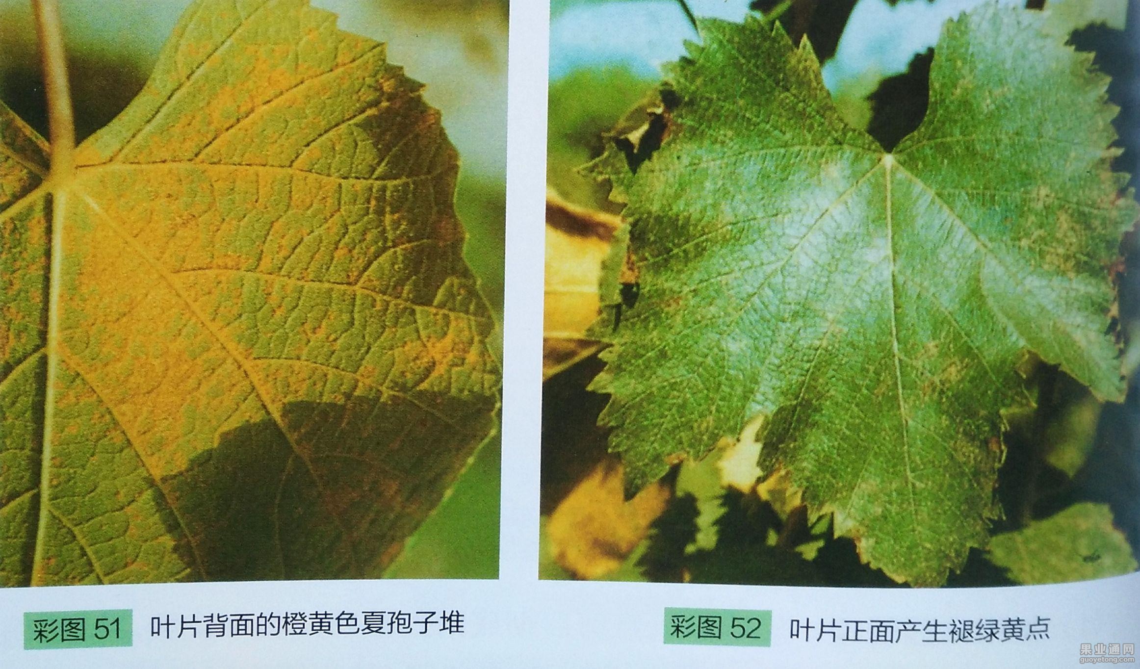 图片8.jpg