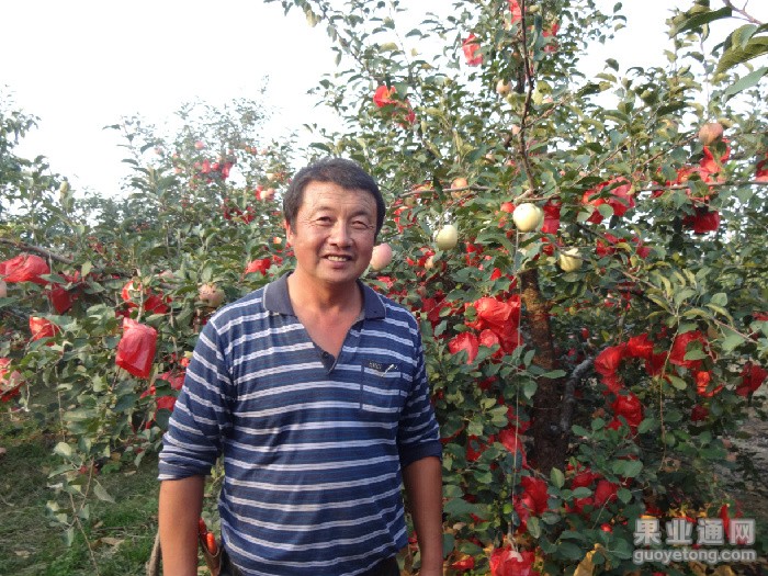 3、王习 (1).JPG