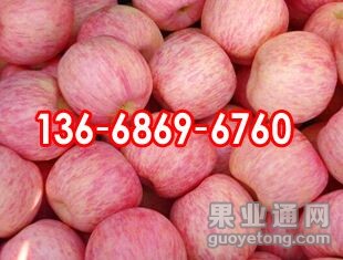 QQ图片20150901112833.jpg