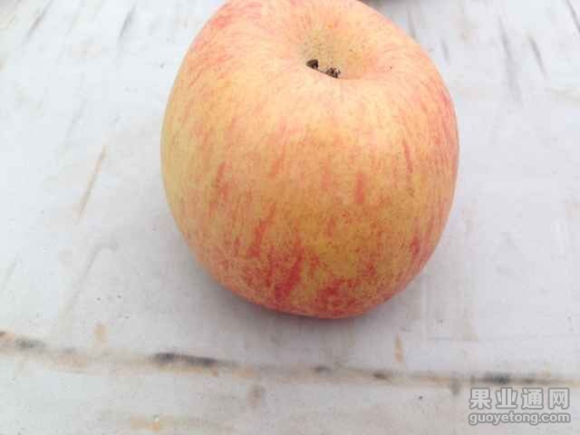 QQ图片20151022093007.jpg