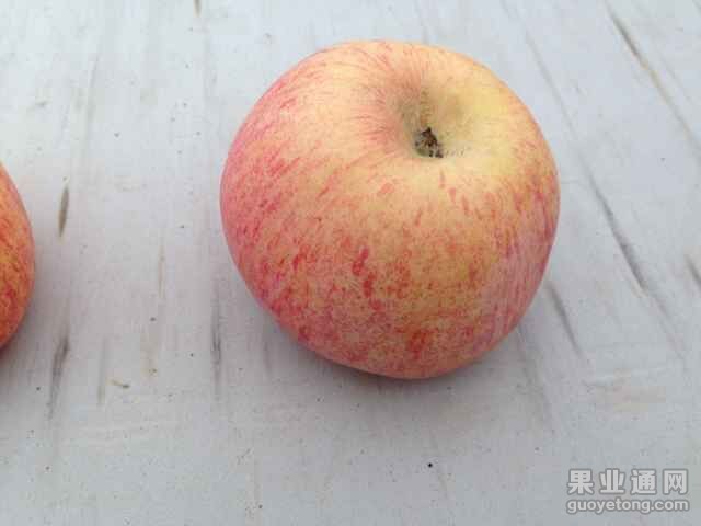QQ图片20151022093019.jpg