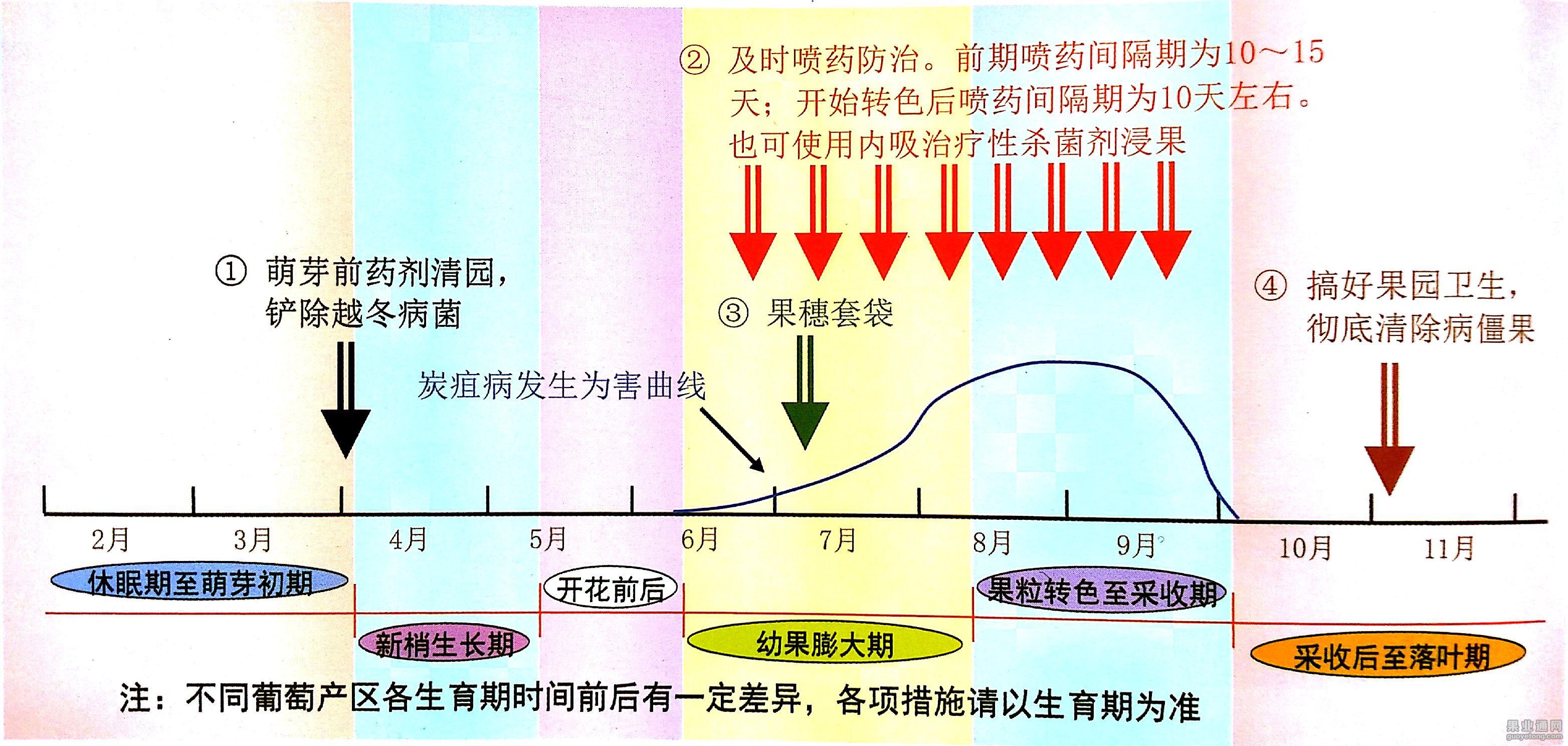 图片6.jpg