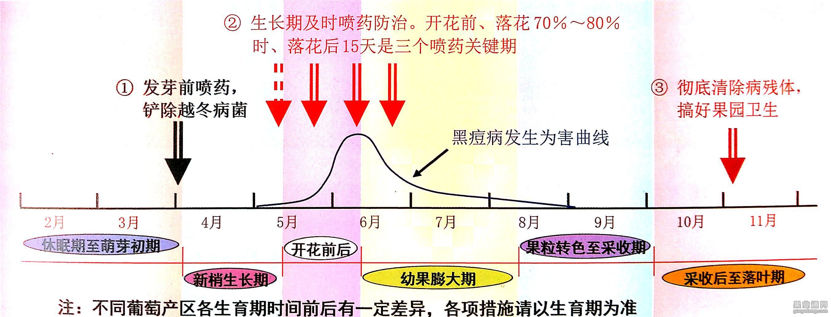 图片12.jpg