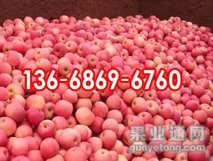 QQ图片20150901112826.jpg