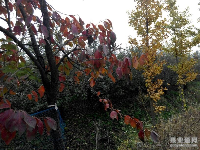 164646d66mcac1olgcgg9g.jpg