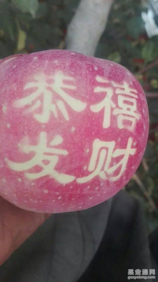 144353f1bb1m9ihi3rbs09.jpeg
