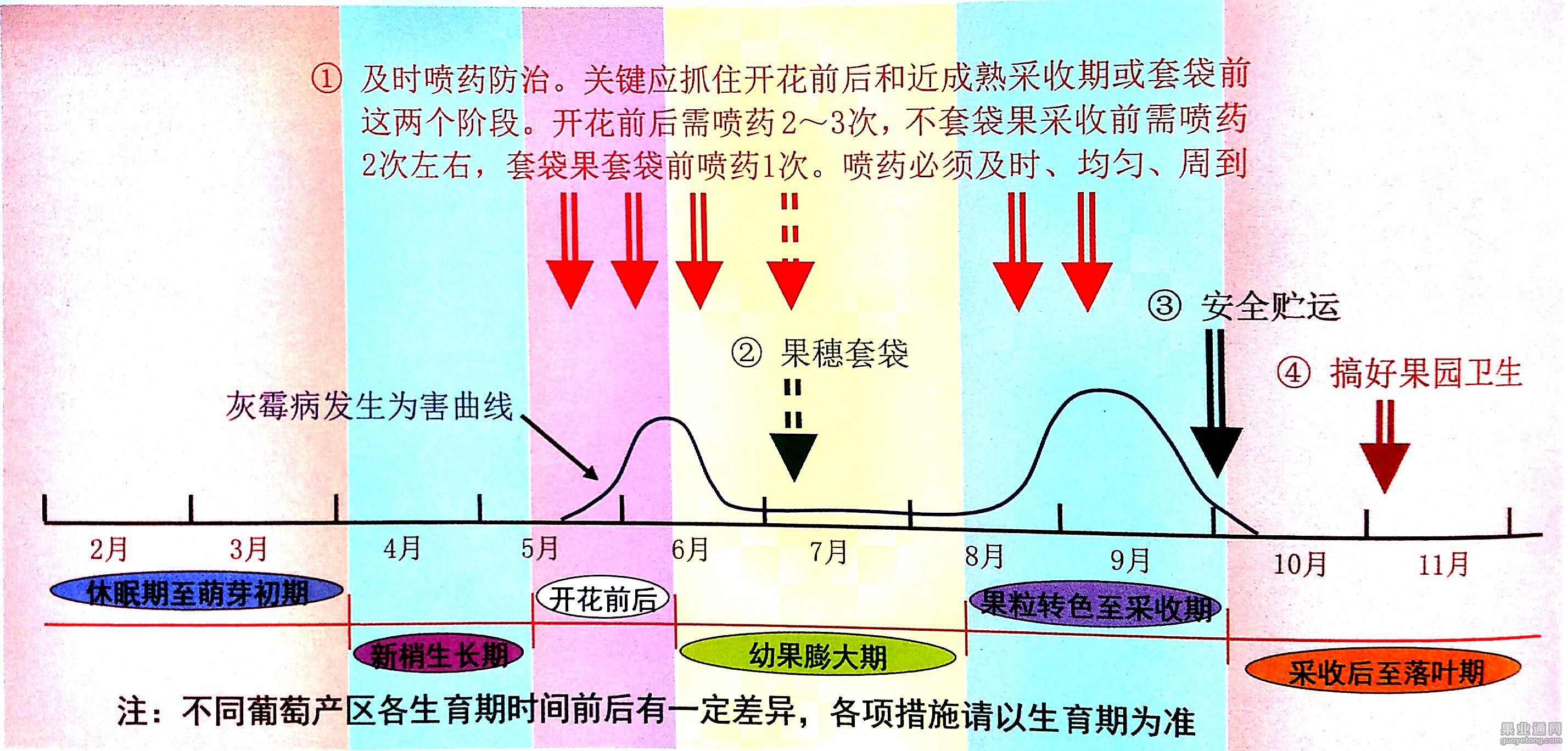 图片7.jpg