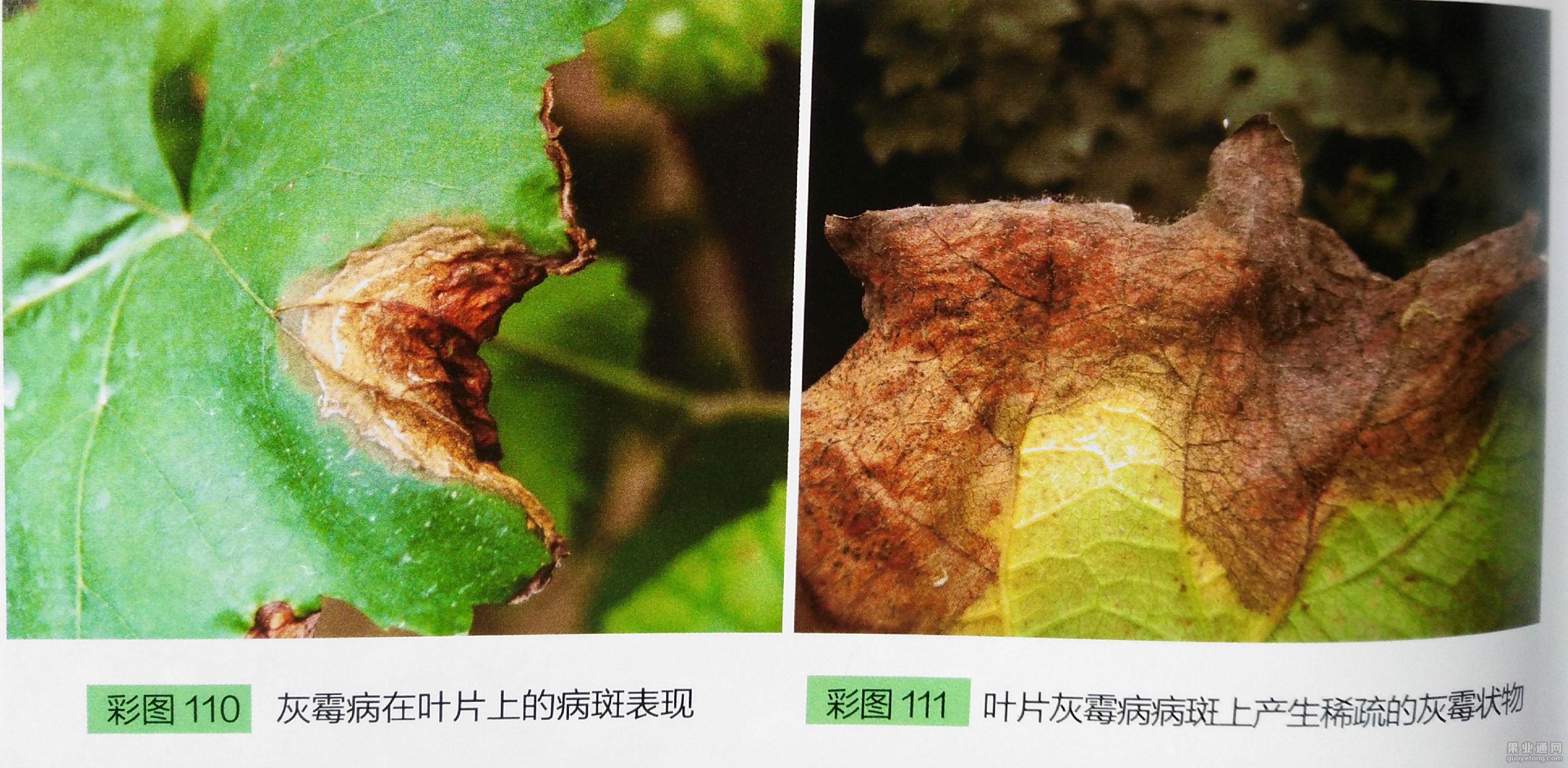 图片6.jpg