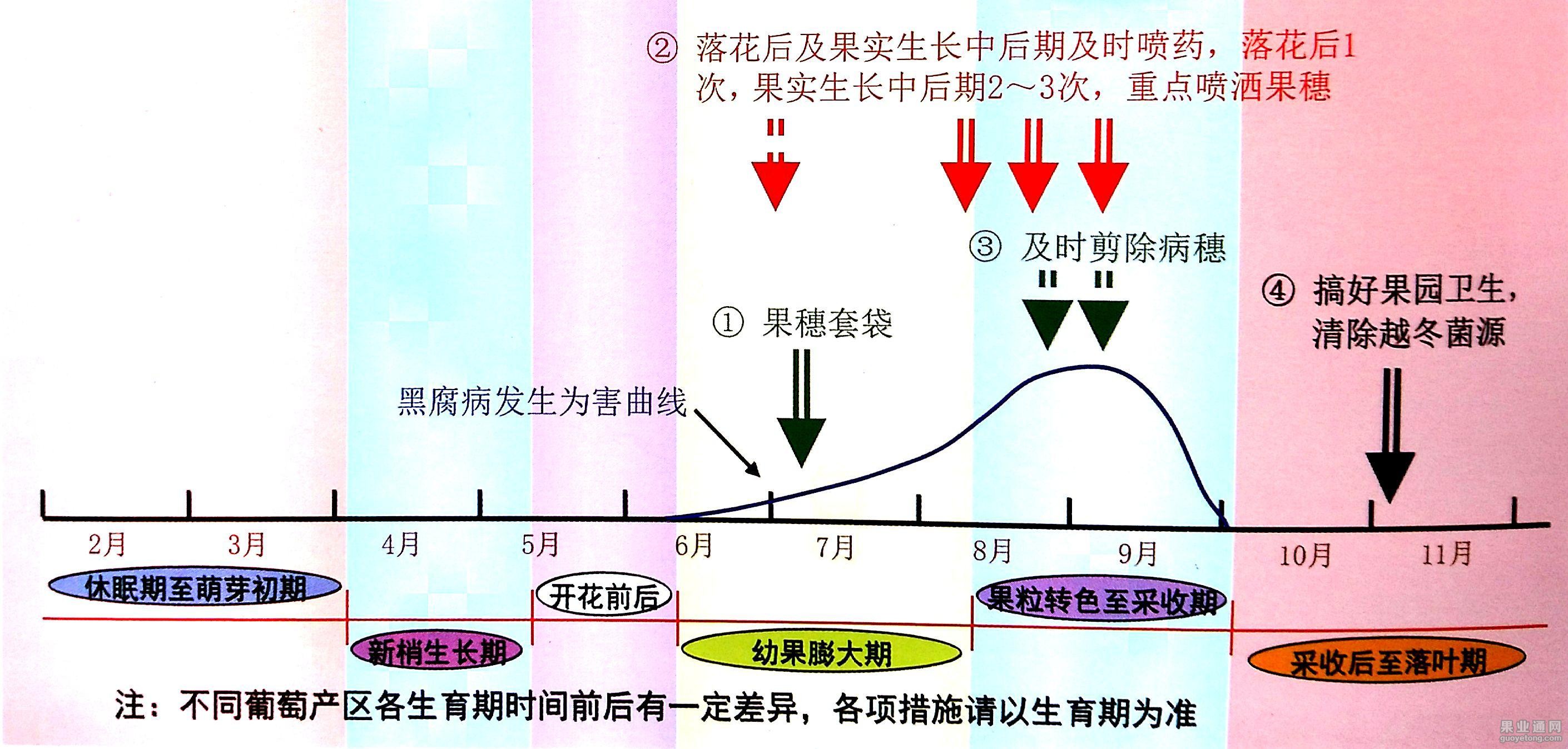 图片7.jpg