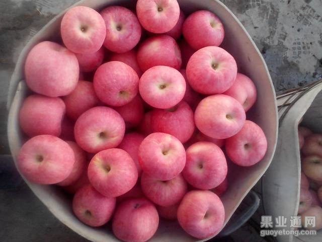 045311f22o22j2sgjvcoxu.jpg