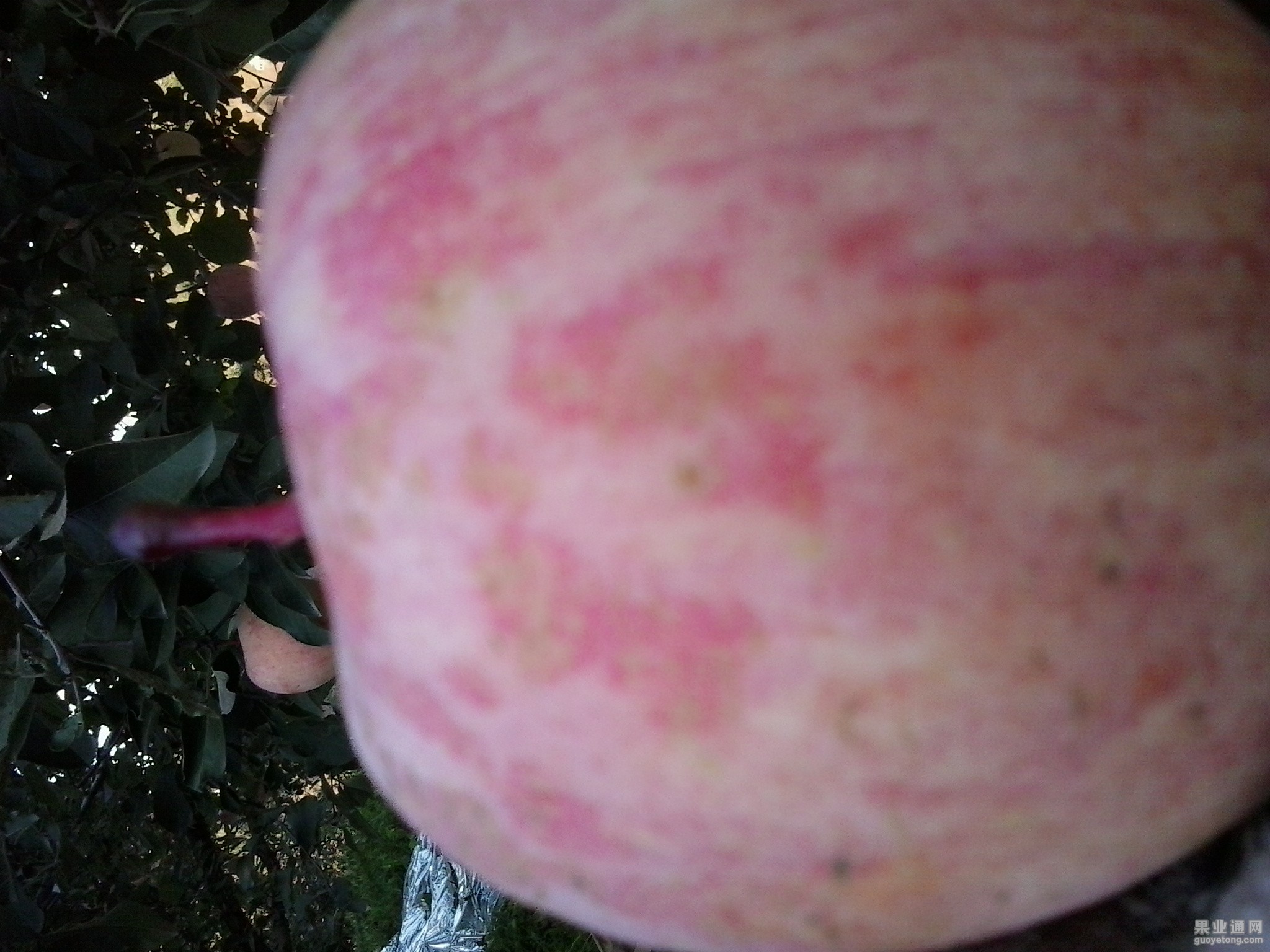 20151030_154335.jpg