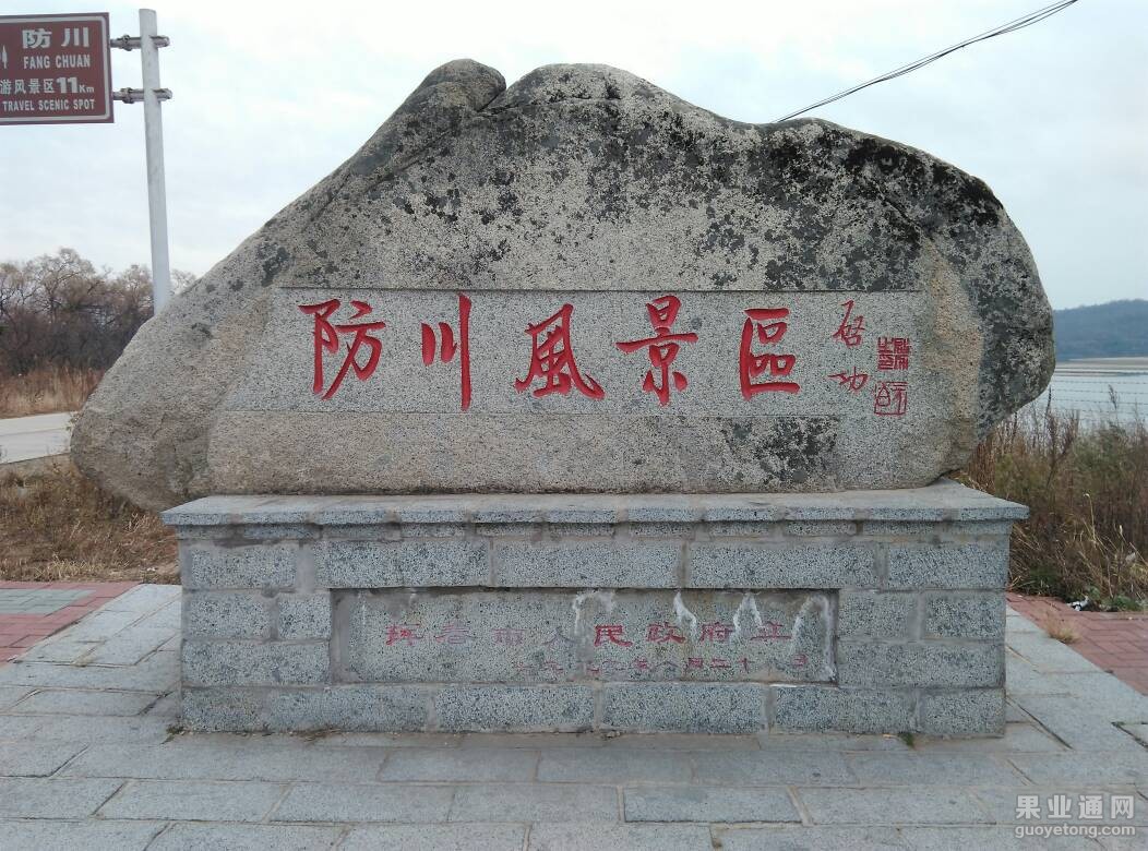 205430r6v5pluulzxqsvkw.jpg
