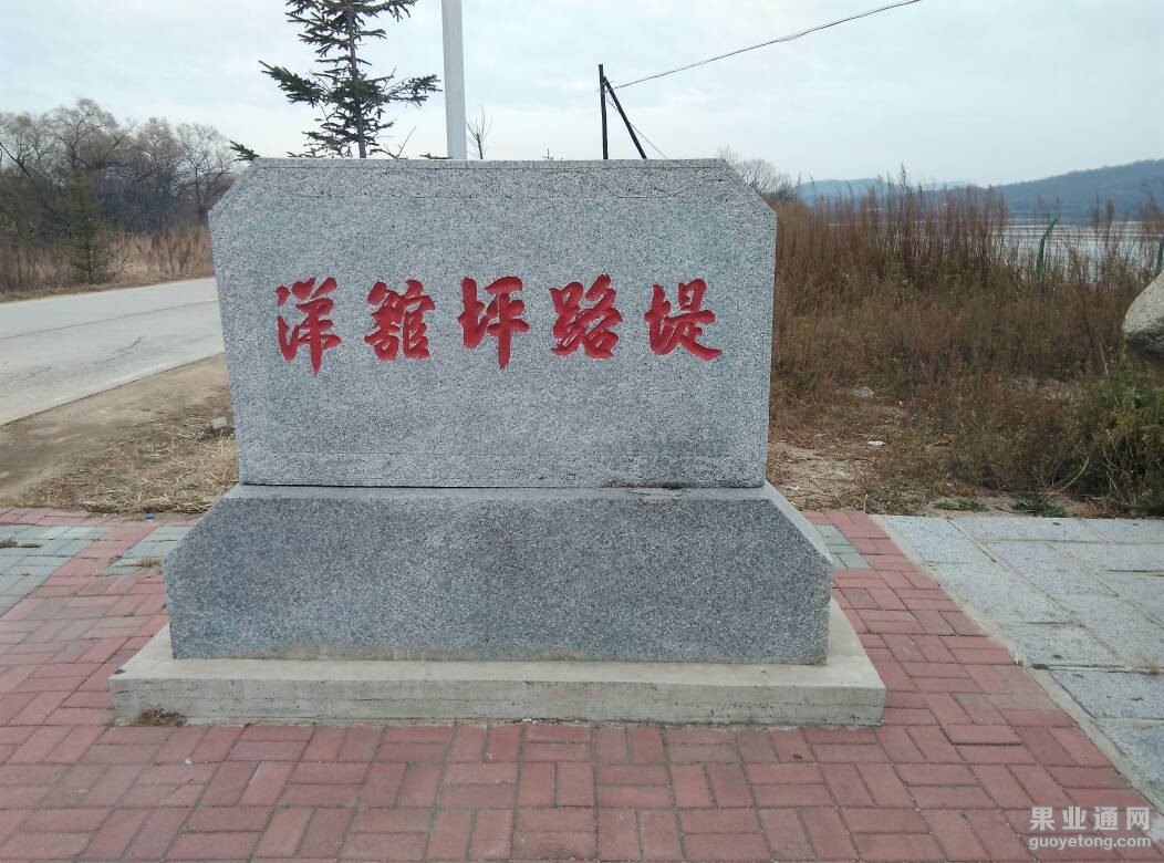 205431dszniu1ien1mn6ei.jpg