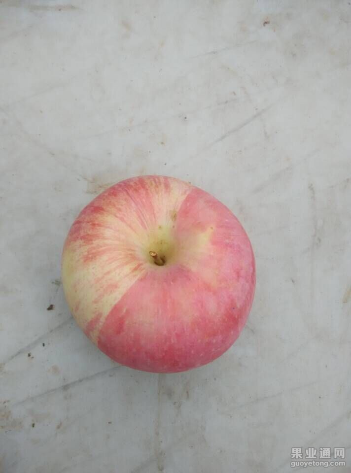 QQ图片20151101204032.jpg