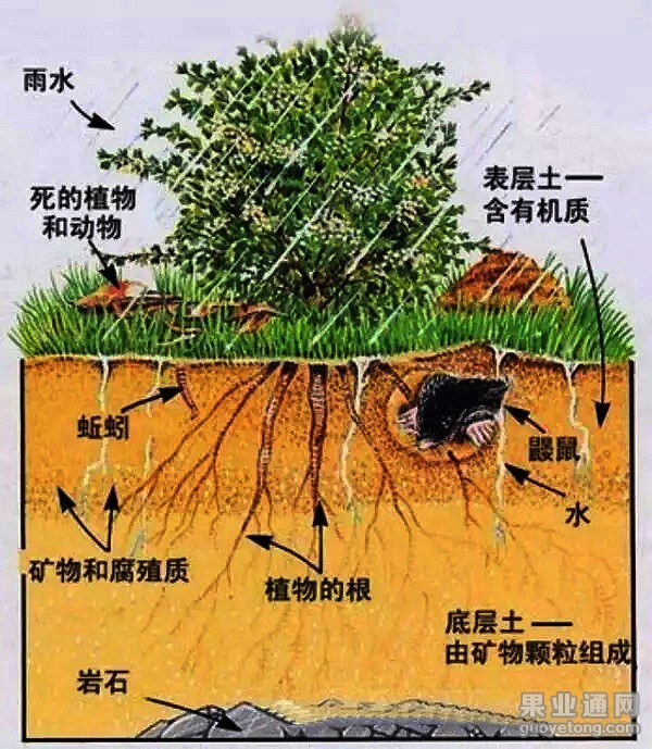 640.webp (1).jpg