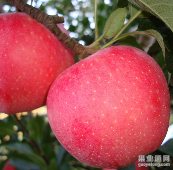 QQ图片20151106171902.png