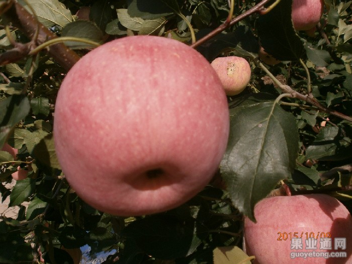 PA090005.JPG