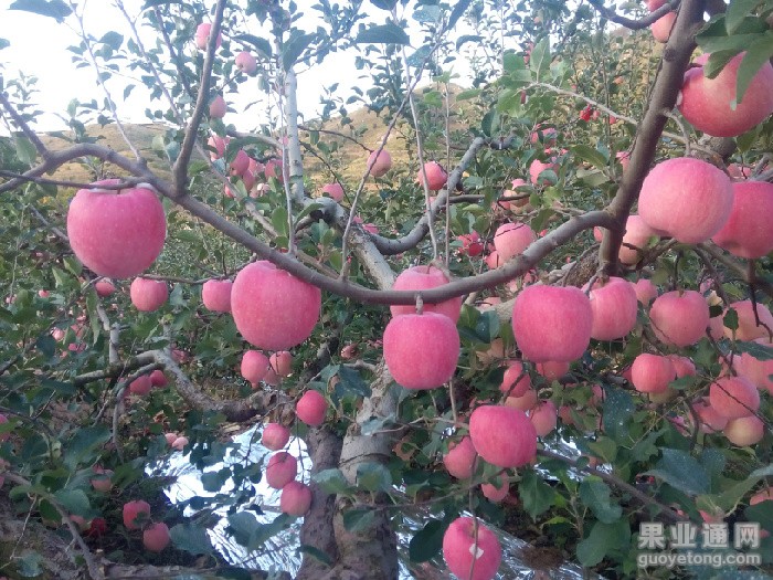 IMG20151010064221_看图王.jpg