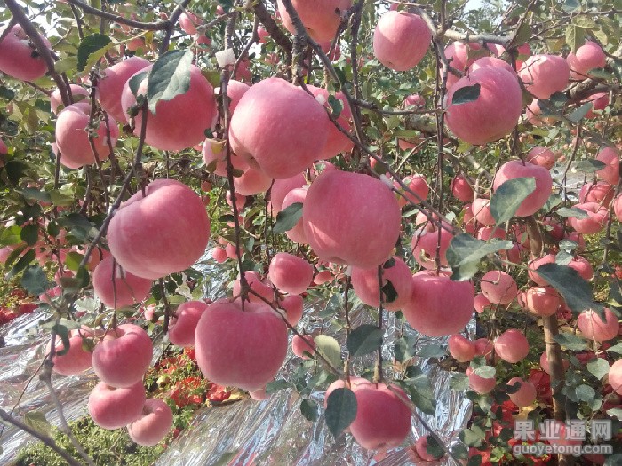 IMG20151021112349_看图王.jpg