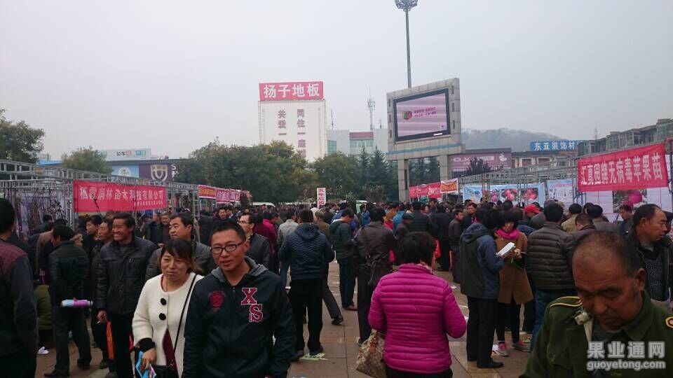 QQ图片20151111102605.jpg