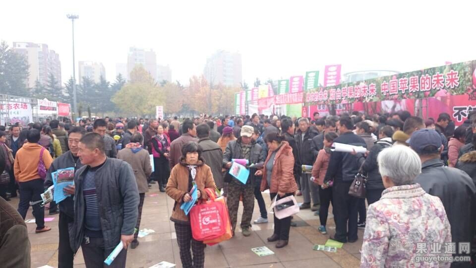 QQ图片20151111102434.jpg