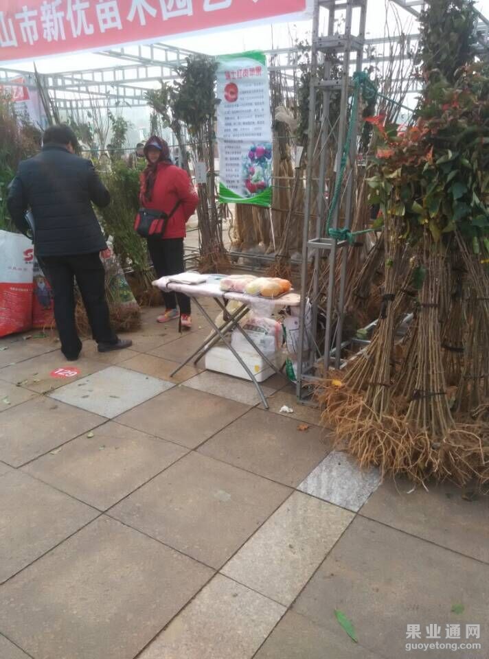 QQ图片20151111101748.jpg