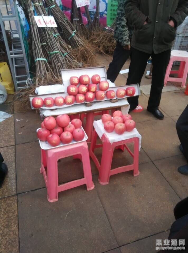 QQ图片20151111101739.jpg