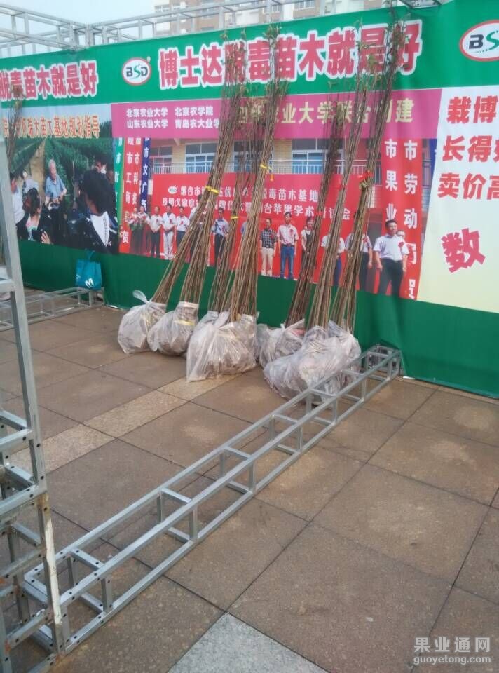 QQ图片20151111101833.jpg