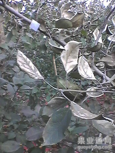 Photo0249.jpg