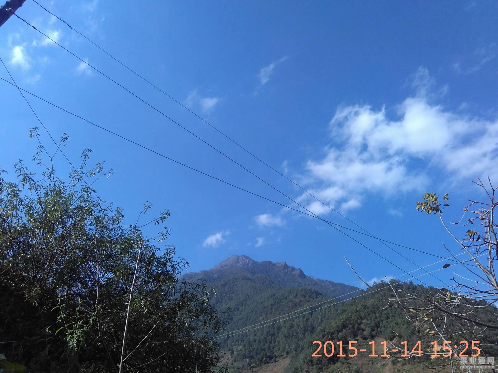 004347ky1ybyga199dyyu1.jpg