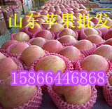 1383371867616_8941[1]_副本.jpg